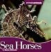 Seahorses (Animals Animals) by Steven Otfinoski