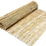 House design ideas pictures