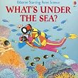 What's Under the Sea (Starting Point Science)