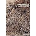 Jackson Pollock and Lee Krasner (Pegasus Series)