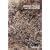 Jackson Pollock and Lee Krasner (Pegasus Series)