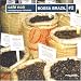 Music Tracks : Bossa Brazil 2