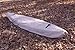 VORTEX TAN 16' 'WATERGUARD' Heavy Duty Waterproof Canoe/Kayak Cover, for UP to 16' Long, and for UP to 9 1/2 ' Girth