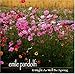 Emile Pandolfi, It Might as Well Be Spring, 発売中