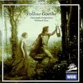 Follow Goethe