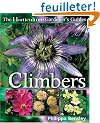 Climbers and Wall Plants
