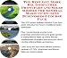The Best Get More Biz, Godfather Principles and Sales Models for Mineral Make-up On-line Businesses 3 Course Pack
