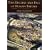 The Decline and Fall of Roman Britain