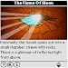 Legends of Mystaris: The Flame Of Illean (colour) downloadable Software