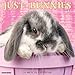 Just Bunnies 2017 Wall Calendar