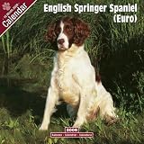 Eigenschaften Avonside Publishing Ltd.  / Kalender 2009 English Springer Spaniel (Euro)