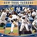 New York Yankees 2009  Wall Calendar