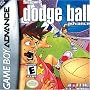 Super Dodge Ball Advance