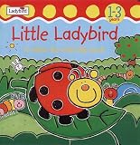 Little Ladybird: A Follow the Trail Flap Book (Touch & trace)