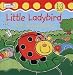 Little Ladybird: A Follow the Trail Flap Book (Touch & trace)
