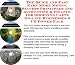 The Quick and Easy Earn More Money, Success Principles and Accounting & Finance for Shopping Carts On-line Businesses 3 CD Power Pack