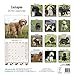 Cockapoo Calendar - 2016 Wall Calendars - Dog Calendars - Monthly Wall Calendars by Avonside
