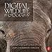 Digital Wildlife Photography