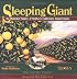 Sleeping Giant: An Illustrated History of Southern California's Inland Empire