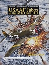 American Fighter-Bombers in World War II: Usaaf Jabos in the Mto and Eto (Schiffer Military History)