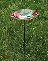 Hummingbird Glass Birdbath