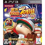 実況パワフルプロ野球2011決定版