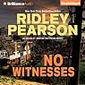 No Witnesses: A Lou Boldt - Daphne Matthews Novel, Book 3