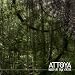Attoya-Based On True Events