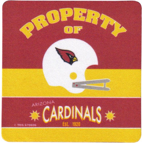 Arizona Cardinals Team Reflections 