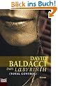 Das Labyrinth (Total Control): Roman