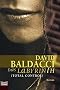 Das Labyrinth (Total Control): Roman