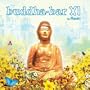 Buddha Bar XI