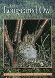 The long-eared owl