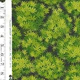 FabriQuilt fabric Palace Garden 91123 green 100% cotton 45 wide - HALF YARD - B001DTITCS