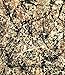 Jackson Pollock
