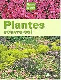 Plantes couvre-sol