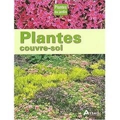 Plantes couvre-sol