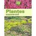 Plantes couvre-sol