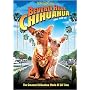 Beverly Hills Chihuahua