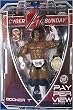 WWE Wrestling PPV Pay Per View Series 14 Cyber Sunday Action Figure King Booker