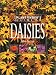 Book The Plantfinder's Guide to Daisies