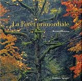La for�t primordiale