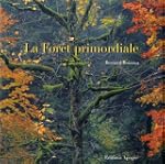 La for�t primordiale