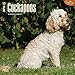 Cockapoos 2015 Wall Calendar