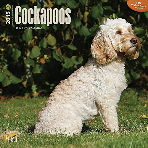 Cockapoos 2015 Wall Calendar
