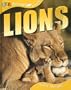 Lions (Qeb Animal Lives)