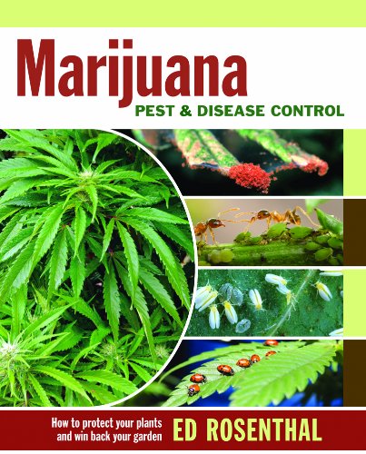 Marijuana Pest and Disease Control: How to Protect Your Plants and Win Back Your Garden Marijuana Pest and Disease Control: How to Protect Your Plants and Win Back Your Garden