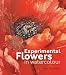 Experimental Flowers in Watercolour