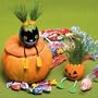 Monster Nyokki Grass Pet (set of 3)