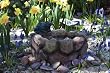 Solar Frog Fountain